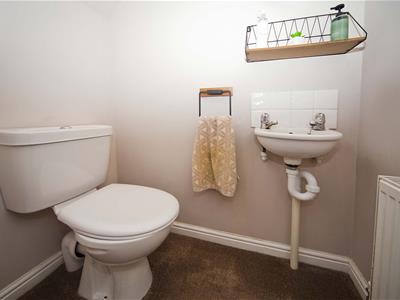 Picture 7